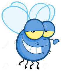 BLOG...The Fly!